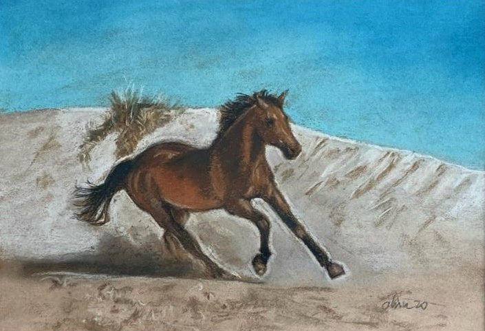 Running Horse in Daylight