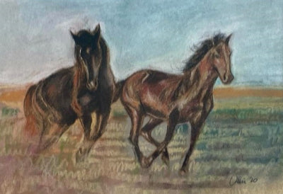 Horses at the Farm