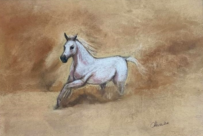 Running Horse at Desert